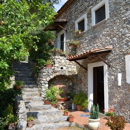 Agrestis Domus ξενώνας San Giovanni a Piro Εξωτερικό φωτογραφία
