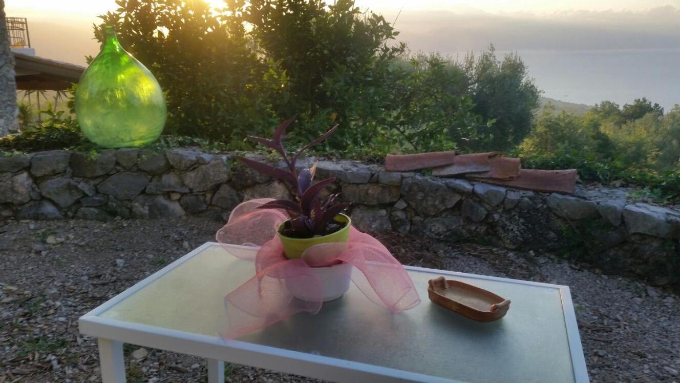 Agrestis Domus ξενώνας San Giovanni a Piro Εξωτερικό φωτογραφία