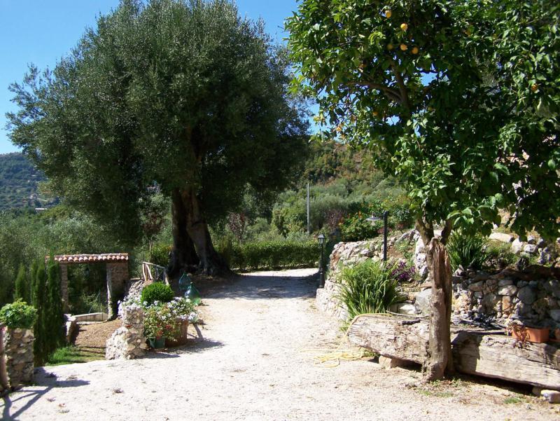 Agrestis Domus ξενώνας San Giovanni a Piro Εξωτερικό φωτογραφία