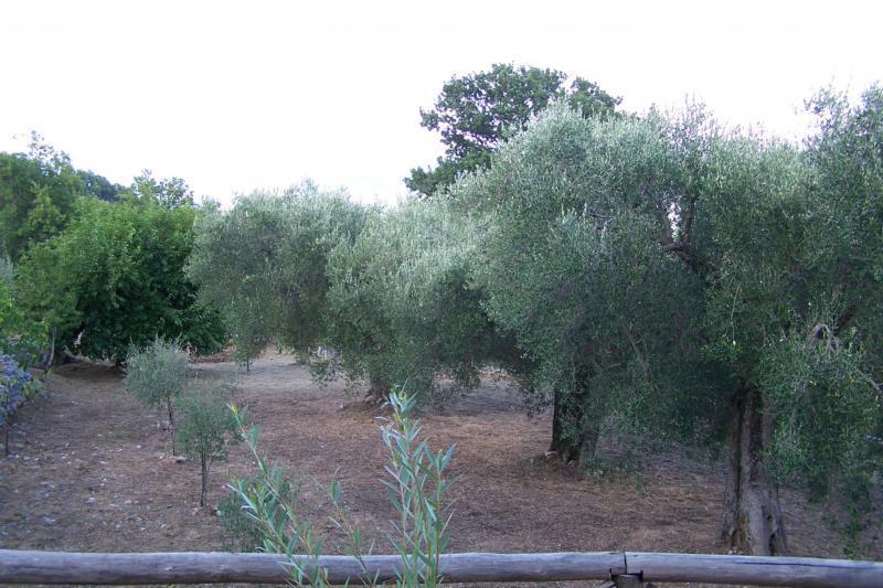 Agrestis Domus ξενώνας San Giovanni a Piro Εξωτερικό φωτογραφία