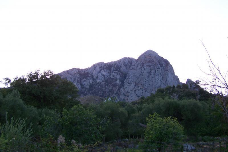 Agrestis Domus ξενώνας San Giovanni a Piro Εξωτερικό φωτογραφία