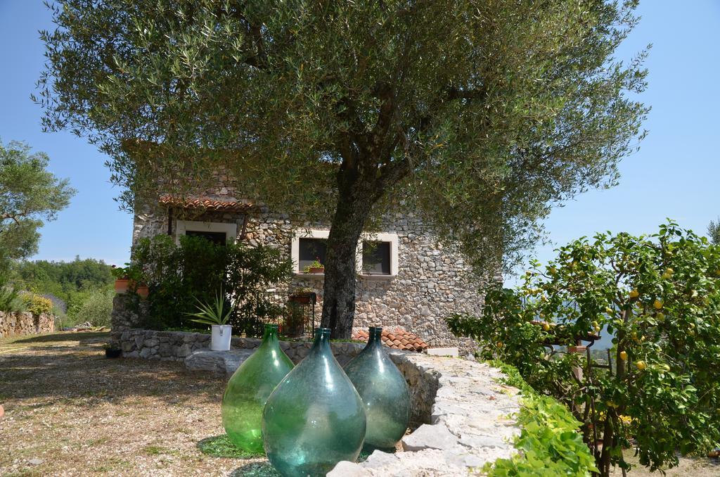 Agrestis Domus ξενώνας San Giovanni a Piro Εξωτερικό φωτογραφία