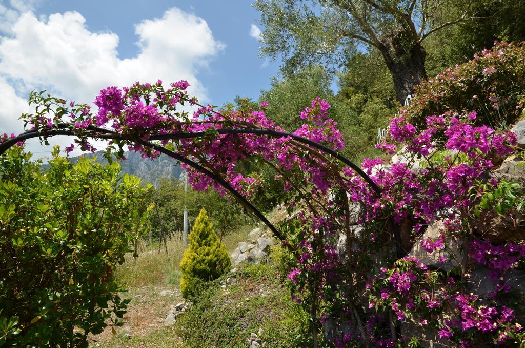 Agrestis Domus ξενώνας San Giovanni a Piro Εξωτερικό φωτογραφία