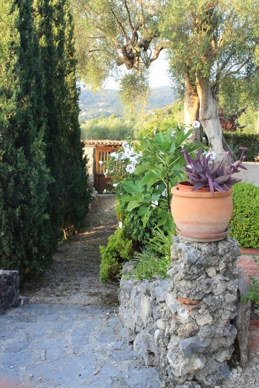 Agrestis Domus ξενώνας San Giovanni a Piro Εξωτερικό φωτογραφία
